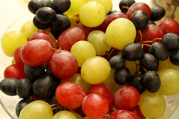 Uvas maduras sabrosas brillantes — Foto de Stock