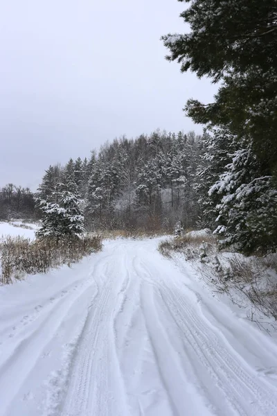 Bewölkte Winterlandschaft Mit Schneebedeckten Nadelbäumen Und Straße — Stockfoto