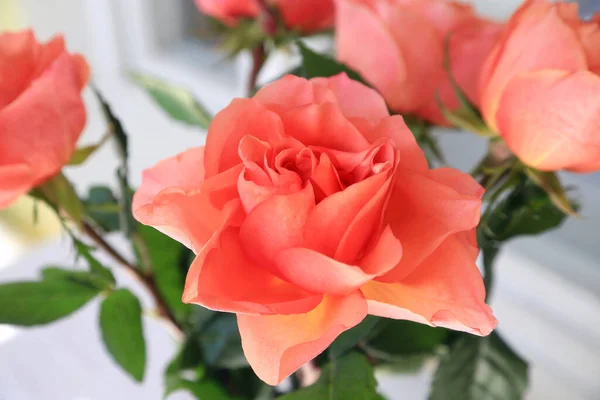 Krásná Kytice Jemných Růží Zblízka — Stock fotografie