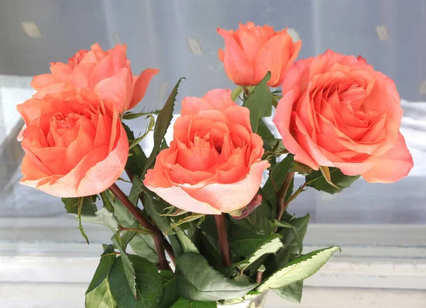 Beau Bouquet Roses Délicates Gros Plan — Photo