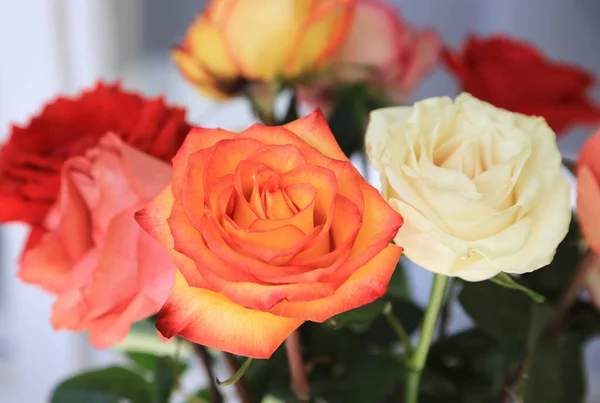 Schöner Strauß Zarter Farbenfroher Rosen Aus Nächster Nähe — Stockfoto