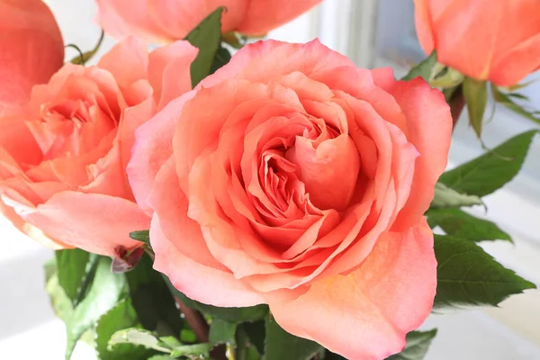 Primer Plano Hermoso Ramo Delicadas Rosas Coral — Foto de Stock