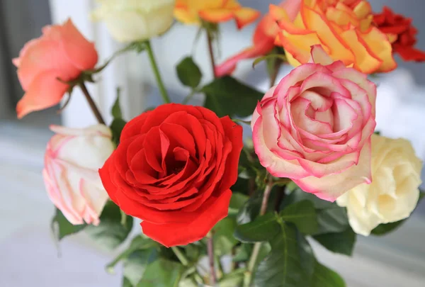 Beau Bouquet Roses Colorées Lumineuses Gros Plan — Photo