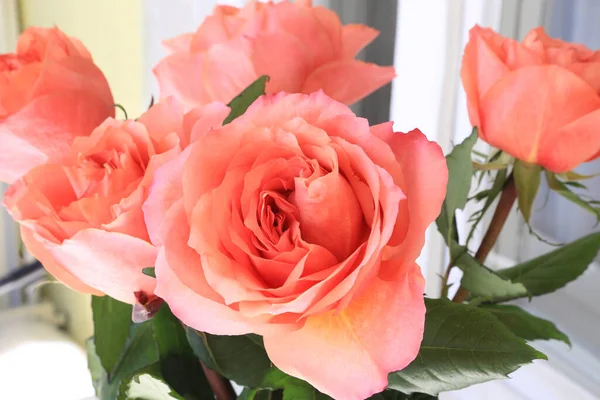 Primer Plano Hermoso Ramo Delicadas Rosas Color Coral — Foto de Stock