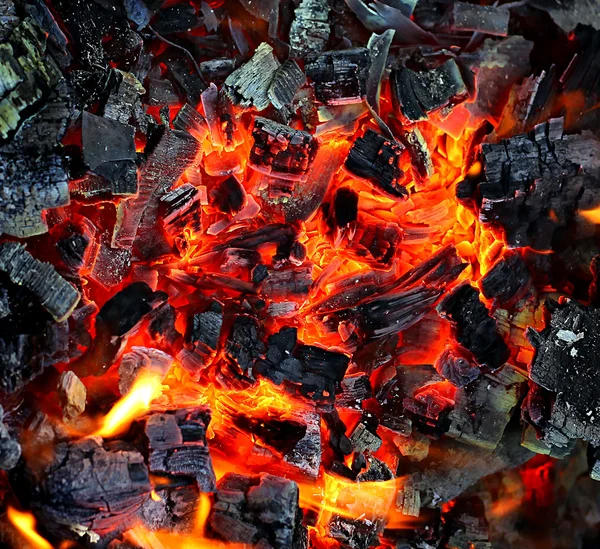 Live coals — Stock Photo, Image