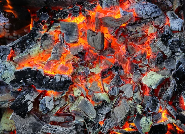 Live coals — Stock Photo, Image