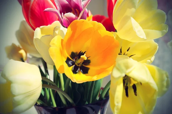 Boeket van kleurrijke spring tulpen — Stockfoto