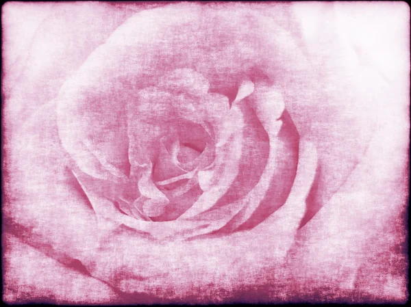 Grunge abstracte achtergrond met roos — Stockfoto