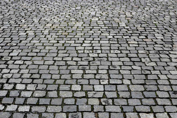 Textura estrada pavimentada — Fotografia de Stock