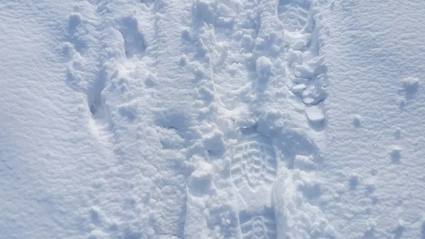 Des pas sur la neige — Photo