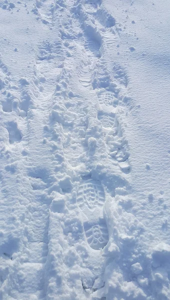 雪地上的脚印 — 图库照片