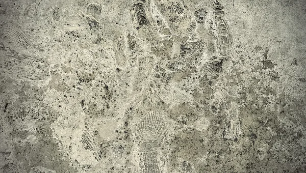 Stone texture with fossils — Stock Photo, Image