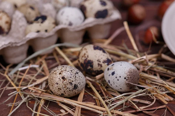 Vaktelägg — Stockfoto