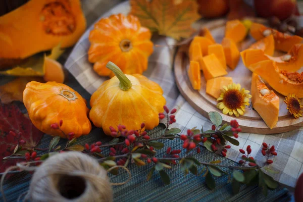 Herbstfrüchte — Stockfoto