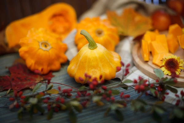 Autumn fruits — Stock Photo, Image