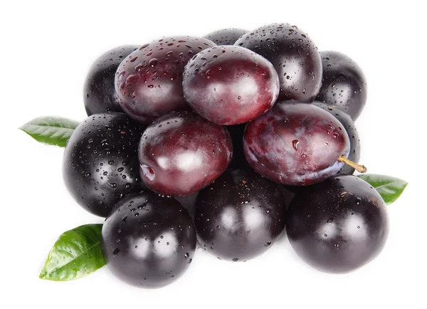 Dark plums — Stock Photo, Image