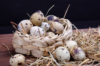 bıldırcın yumurtası