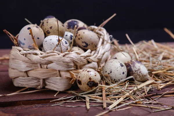 Ovos de codorna — Fotografia de Stock