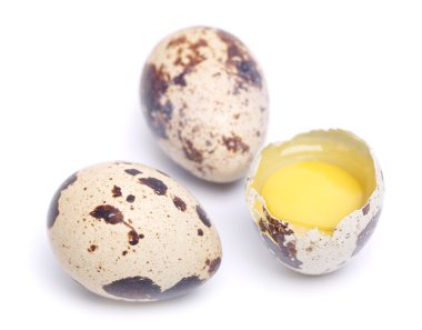 bıldırcın yumurtası