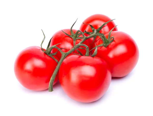 Tomatenzweig — Stockfoto