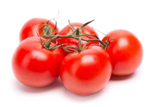 Tomatenzweig — Stockfoto