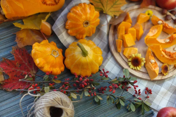 Autumn fruits — Stock Photo, Image
