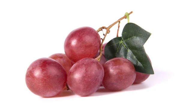 Red grapes — Stock Photo, Image