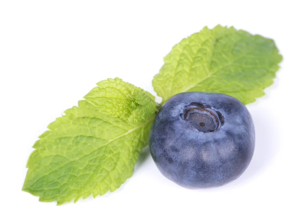 Blackberries — Stock Photo, Image