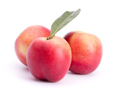 Şeftali meyve yaprakları ile