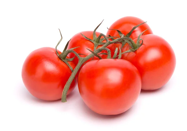 Branch of tomatoes — Stock Photo, Image