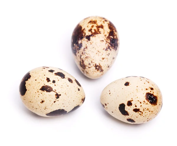 Quail eggs — Stock Photo, Image