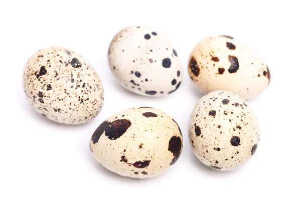 Pocos huevos de codorniz — Foto de Stock