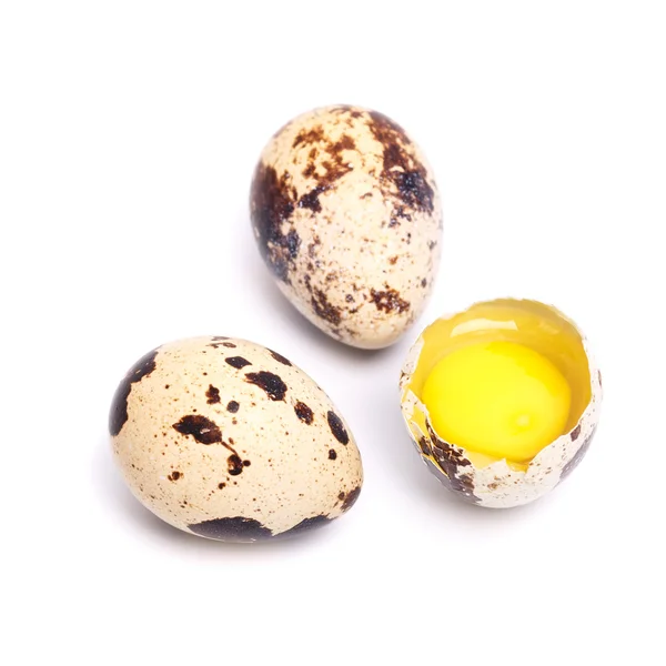 Quail eggs — Stock Photo, Image