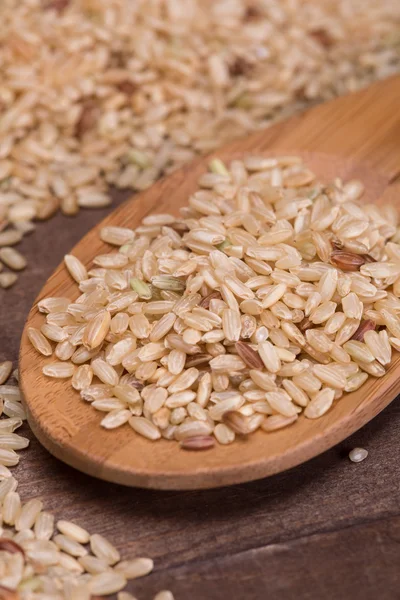 Brown rice — Stock Photo, Image