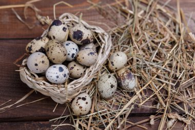 bıldırcın yumurtası
