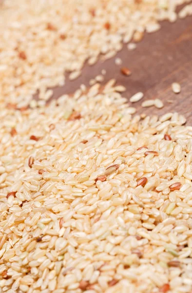 Brown rice — Stock Photo, Image