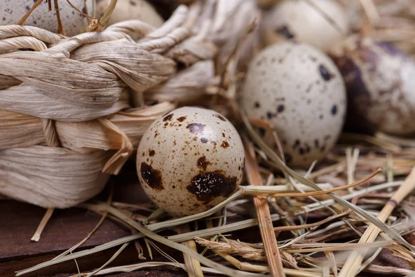 Quail eggs in the hay — Stock Photo, Image