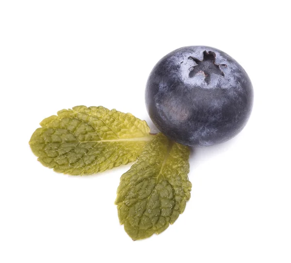 Blackberry with leaves of mint — Stock Photo, Image