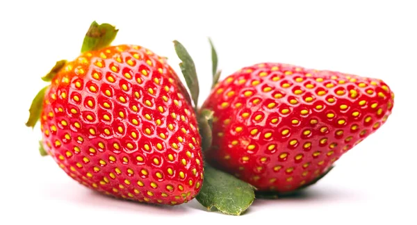 Strawberry — Stok Foto