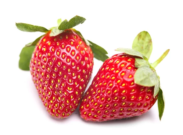 Strawberry — Stok Foto