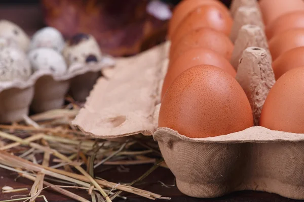 Różne jaja — Zdjęcie stockowe