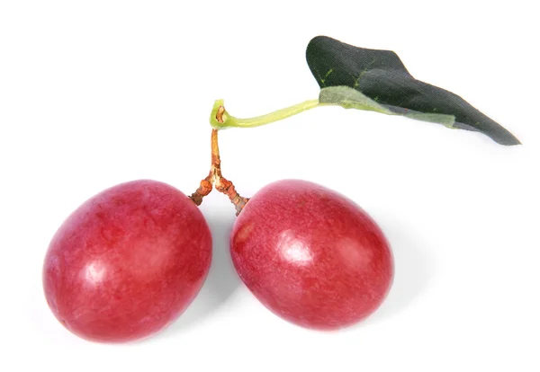 Red grapes — Stock Photo, Image