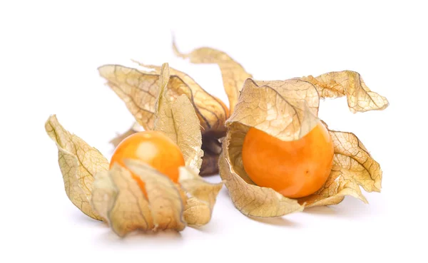 Physalis — Fotografia de Stock