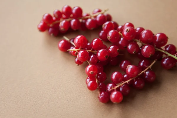 Red currant — Stock Photo, Image