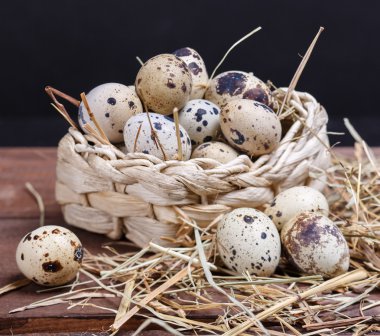 bıldırcın yumurtası