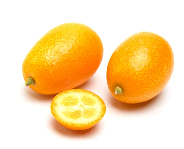 Citrussläktet — Stockfoto