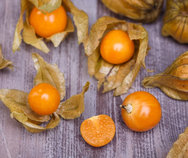 Physalis — Stock fotografie