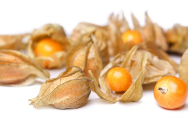 Bir beyaz olgun physalis