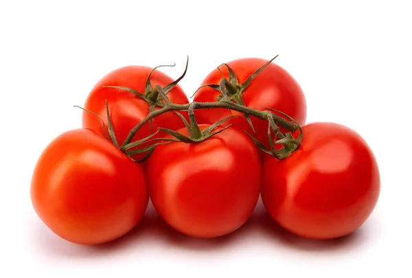 Gałąź dojrzałych pomidorów — Zdjęcie stockowe