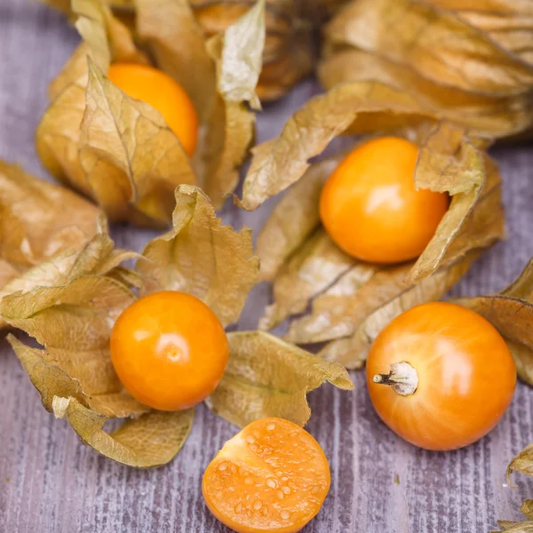 Physalis — Fotografia de Stock